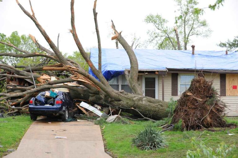 top storm damage expert in Lincolnton CO