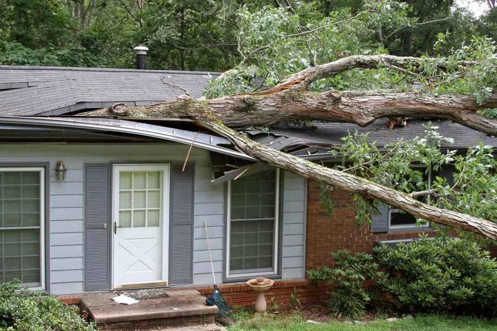 Storm Damage Repair Expert